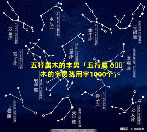 五行属木的字男「五行属 🐯 木的字男孩用字1000个」